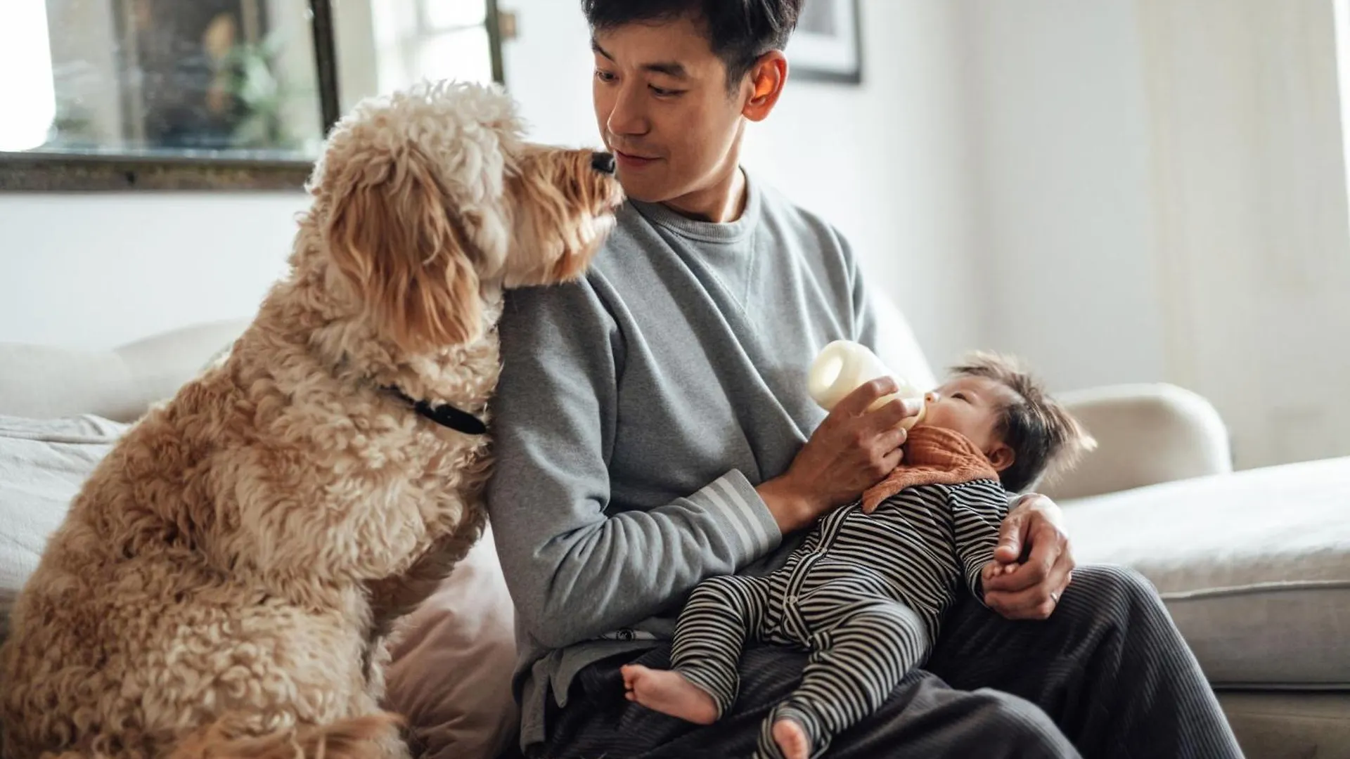르 메르디앙 니스 호텔
